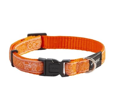 Koiran kaulapanta hyytelöpalkki kaulapanta oranssi doodle 11mm/20-31cm, Rogz