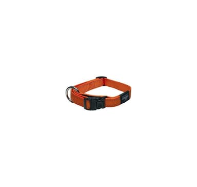 Koiran kaulapanta Lumberjack 25mm/43-70cm, oranssi, Rogz