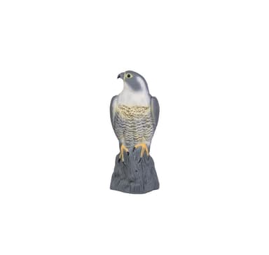 Falcon, lintujen karkottaja, Bradas