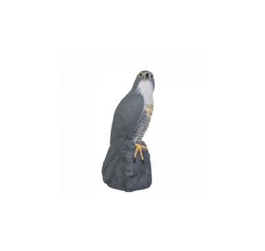 Falcon, lintujen karkottaja, Bradas