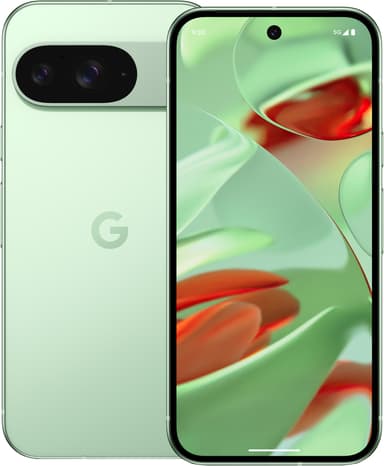 Google Pixel 9 5G älypuhelin 12/256 GB (Wintergreen)