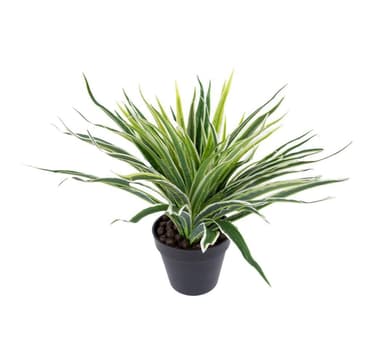 Kasvi GREEN GRASS K30cm