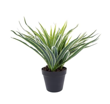 Kasvi GREEN GRASS K30cm