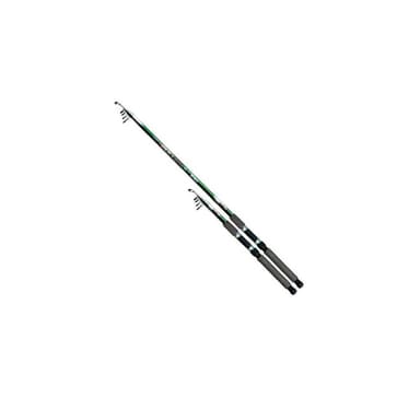 Spinning sauva SWD Bull-Paul 2,7m 30-60g Teleskooppi