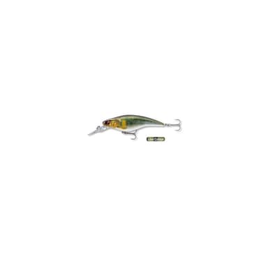 Viehe Daiwa PX Flat BT 100MR 10cm/21g/1,0-1,4m live ayu