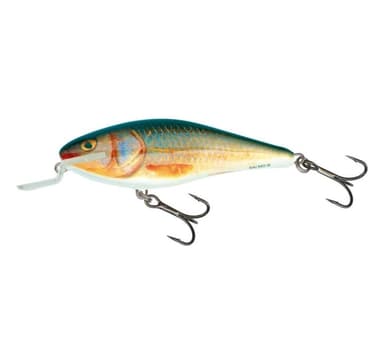 Viehe Executor SR 12cm/33g/2.5-5.0m RR