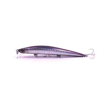 Vaappu EG-145F 528-713 12cm/12.6g/0.3m