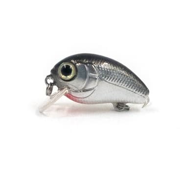 Vaappu EG-036 A010 2,5 cm/2,5 g/0,3 m