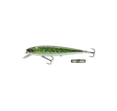 Viehe Daiwa PX Minnow SR 120 12cm/17g/0,6-1,2m elävä taimen