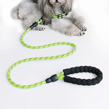 INTIRILIFE IL-100673 Pet toy