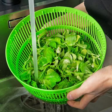INTIRILIF IL-100755 Salad spin