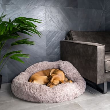 Koiran sänky Kissan sängyn tyyny 100cm (beige)