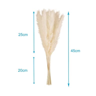 30x Pampas-ruoho Deco-kasvi Luonnollinen kuivattu kukka