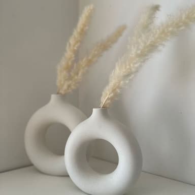30x Pampas-ruoho Deco-kasvi Luonnollinen kuivattu kukka