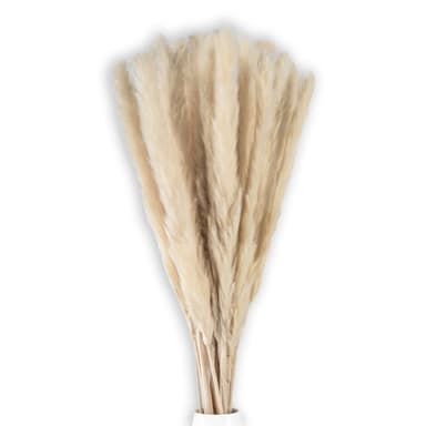 30x Pampas-ruoho Deco-kasvi Luonnollinen kuivattu kukka