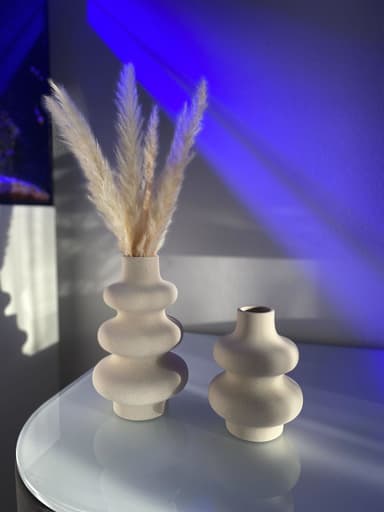 30x Pampas-ruoho Deco-kasvi Luonnollinen kuivattu kukka