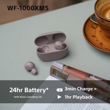 Sony WF1000XM5P täysin langattomat in-ear kuulokkeet (savuinen pinkki)