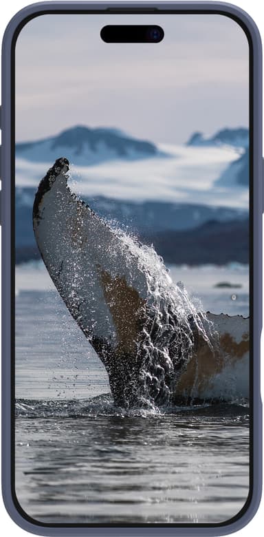 Dbramante1928 Greenland Pro MagSafe iPhone 16 Pro Max suojakuori (sin)