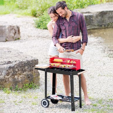 grilli -