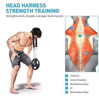 Gym Head Harness - Niska-alueen harjoitteluun