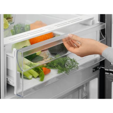 Electrolux jääkaappipakastin LNT5ME32U1 (Teräs)
