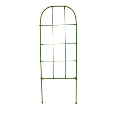 Kasvien tuki 75cm, Bradas