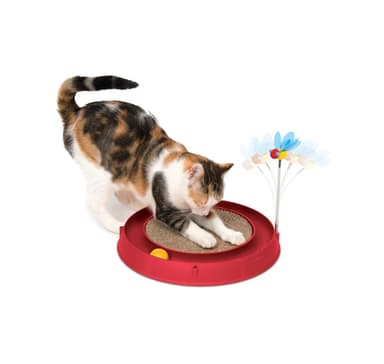 Lelu kissoille Catit Circuit Ball raaputuslevyllä