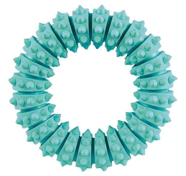 Lelu koirille dentafun rengas minttu maku 12cm., Trixie