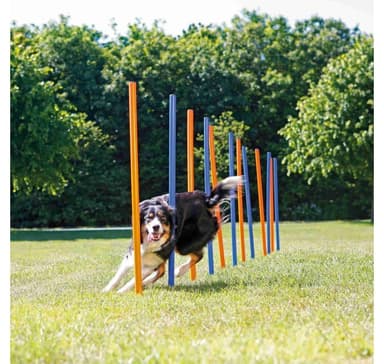 Dog Activity Agility pujottelu, muovi, ø 3 × 115 cm, sininen/oranssi