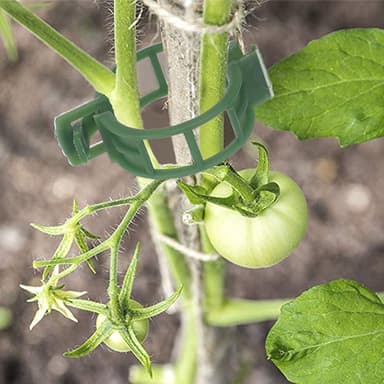 Växtklämmor för plantstöd/spaljé 100-pack Vihreä