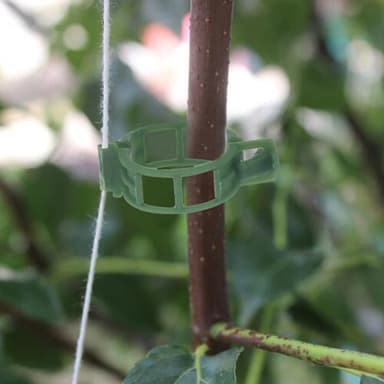 Växtklämmor för plantstöd/spaljé 100-pack Vihreä