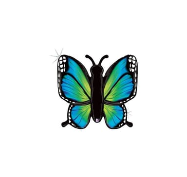 Muoto Radiant Butterfly Blue