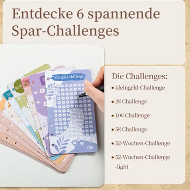 Cash Budget Binder Vaaleanpunainen