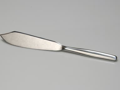 Cake knife 30 cm Stainless steel