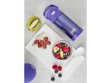 290 ml Violet Stainless steel