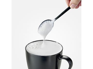 Milk foamer 450 watt Black/Steel