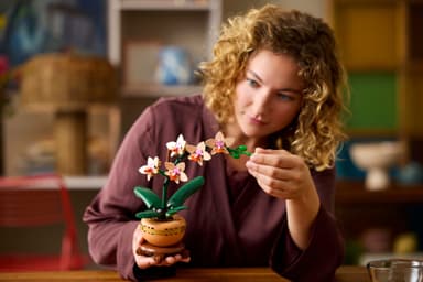 LEGO Botanicals Miniorkidea 10343