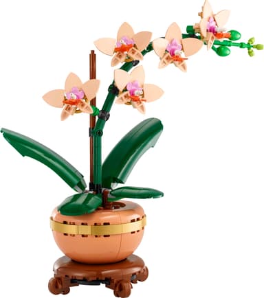 LEGO Botanicals Miniorkidea 10343