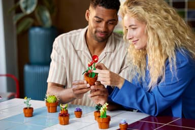 LEGO Botanicals Minikasvit 10329