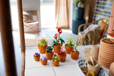 LEGO Botanicals Minikasvit 10329