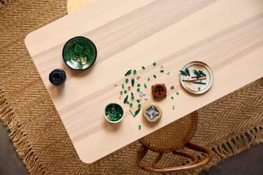 LEGO Botanicals Onnenbambu 10344