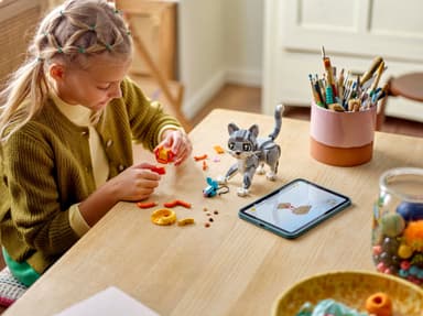 LEGO Creator Leikkisä kissa 31163
