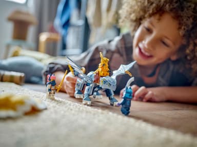 LEGO Ninjago Pikkuinen Riyu-lohikäärme 71810