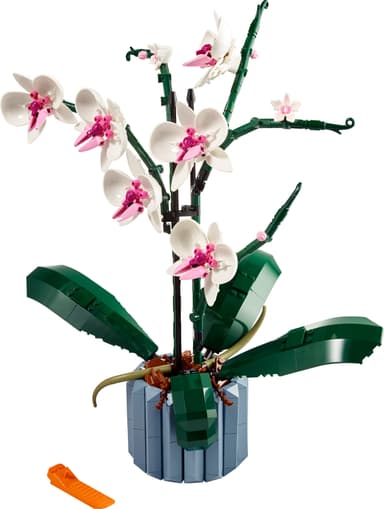 LEGO Botanicals Orkidea 10311