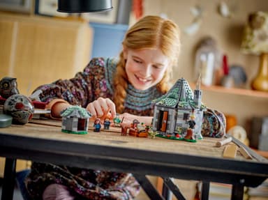 LEGO Harry Potter Hagridin mökki: Odottamaton vierailu 76428