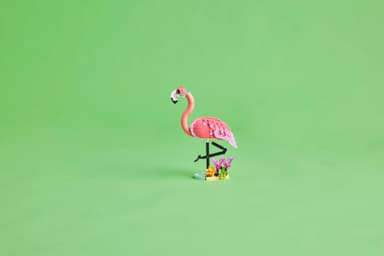 LEGO Creator Villieläimet: vaaleanpunainen flamingo 31170