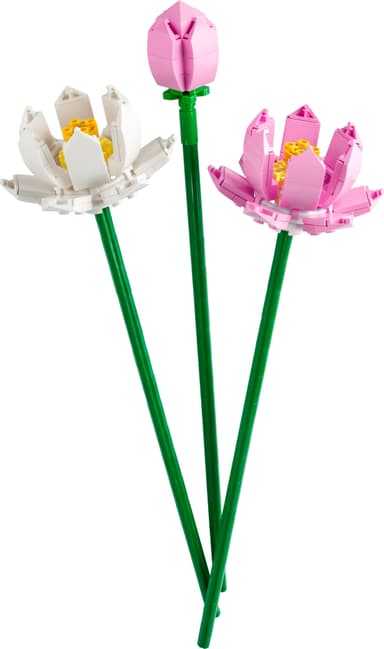 LEGO Botanicals Lootuskukat 40647