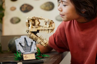LEGO Jurassic World Dinosaurusfossiilit: T. rexin  pääkallo 76964