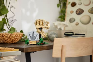 LEGO Jurassic World Dinosaurusfossiilit: T. rexin  pääkallo 76964
