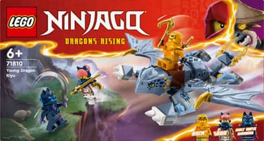 LEGO Ninjago Pikkuinen Riyu-lohikäärme 71810